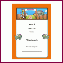 y4 wordsearch
